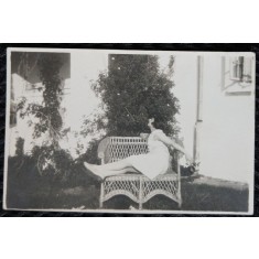 Fotografie, Tanara in gradina pe banca din rafie, perioada interbelica