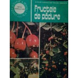 Avram Lucescu - Fructele de padure (Editia: 1985)