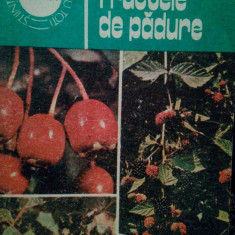 Avram Lucescu - Fructele de padure (editia 1985)