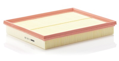 MANN-FILTER C 30 130 Filtru aer foto