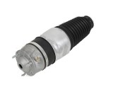 Modul suspensie aer Porsche Cayenne (92a), 06.2010-; Volkswagen Touareg (7p5, 7p6), 01.2010-12.2018, Parte montare Fata, RapidAuto 1370MP3P