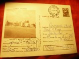 Carte Postala Tandarei - Magazin Comercial , cod 303/77