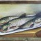 George RUSSU (1880-1977)-Platou cu peşti, pictură pe p&acirc;nză
