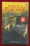 Seria "Pisicile razboinice" . "Viziunea din umbre". Volumul 33 "Un clan destramat" - SIGILAT !