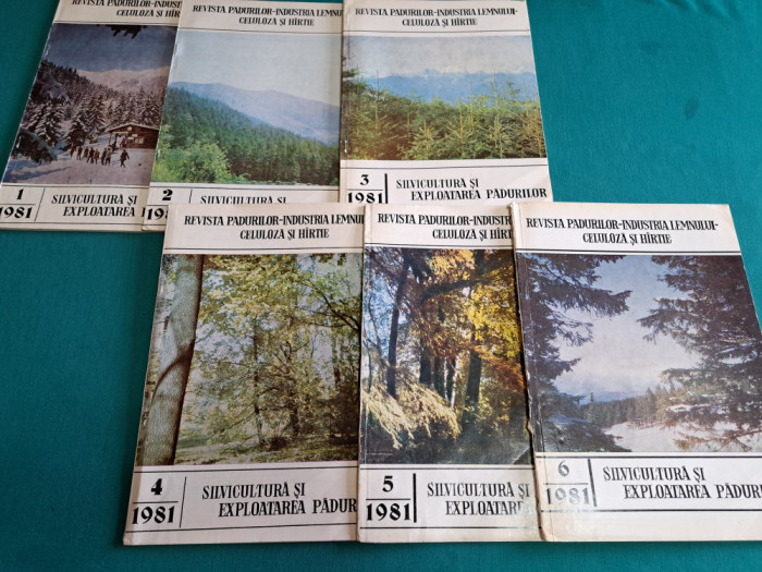 LOT 6 REVISTA PĂDURILOR / NR.1-6 *1981 *