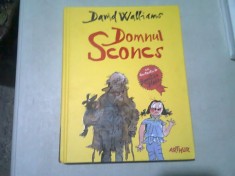 DOMNUL SCONCS - DAVID WALLIAMS foto
