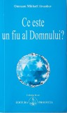 Ce este un fiu al Domnului? - Omraam Mikhael Aivanhov