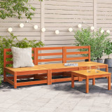 Set 3 Canapele Gradina Lemn Masiv Maro 70x70 cm Fara Cotiere