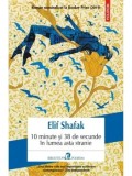 10 minute si 38 de secunde in lumea asta stranie/Elif Shafak