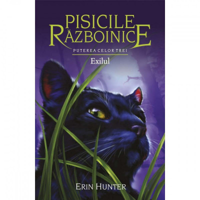 Pisicile Razboinice - Puterea celor trei. Cartea a XV-a: Exilul foto