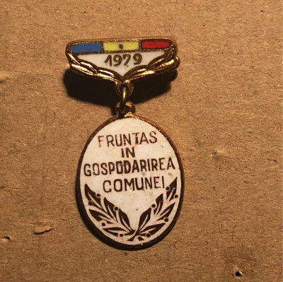 INSIGNA ROMANIA FRUNTAS IN GOSPODARIREA COMUNEI 1979 COMUNISM SOCIALISM foto