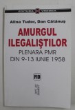 AMURGUL ILEGALISTILOR , PLENARA PMR DIN 9-13 IUNIE 1958 de ALINA TUDOR si DAN CATANUS , 2000