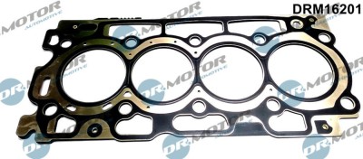 Garnitura, Chiulasa 268441 DRM16201 foto