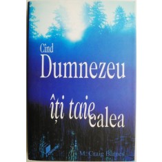 Cand Dumnezeu iti taie calea. Intalnirea cu o viata noua printr-o schimbare nedorita &ndash; M. Craig Barnes