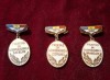 INSIGNE FRUNTAS IN GOSPODARIREA SATELOR ,COMUNELOR ORASELOR - LOT DE 3 BUC