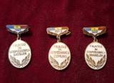 INSIGNE FRUNTAS IN GOSPODARIREA SATELOR ,COMUNELOR ORASELOR - LOT DE 3 BUC