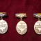 INSIGNE FRUNTAS IN GOSPODARIREA SATELOR ,COMUNELOR ORASELOR - LOT DE 3 BUC