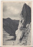 bnk cp Bucegi - Colt de stanca in Obarsia - necirculata
