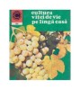 Avram D. Tudosie - Cultura vitei de vie pe langa casa - 117400