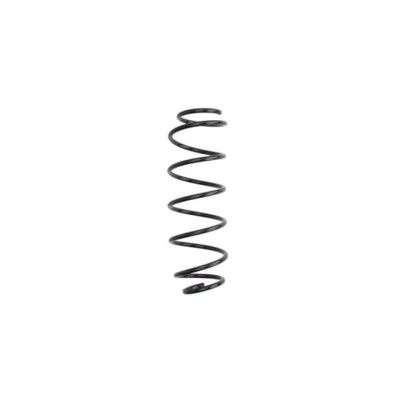 Arc spiral SMART FORTWO cupe 451 Magnum Technology foto