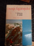 Muntii Fagarasului - V. Balaceanu M.cicotti E.cristea ,548867, Sport-Turism