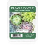 Kringle Candle Succulents ceară pentru aromatizator 64 g