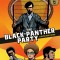 The Black Panther Party: A Graphic Novel History