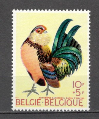 Belgia.1969 Cresterea de pasari MB.103 foto