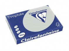 Carton color Clairefontaine Pastel A3 steel grey foto