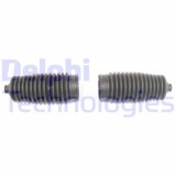 Delphi Ansamblu burduf, directie