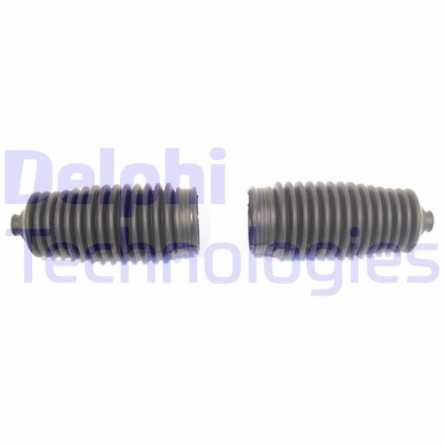 Delphi Ansamblu burduf, directie