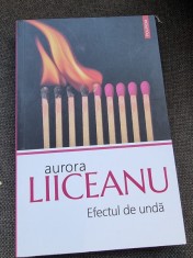 Aurora Liiceanu - Efectul de unda foto