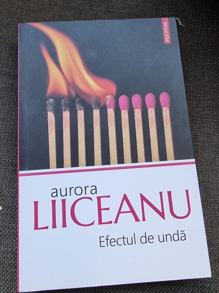 Aurora Liiceanu - Efectul de unda