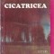 Cicatricea - Lucian Strochi