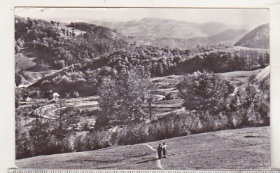 bnk cp Muntii Apuseni - Serpentine la Piatra Craiului - uzata foto