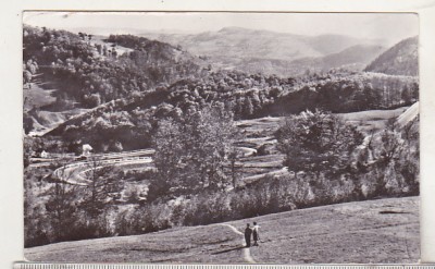 bnk cp Muntii Apuseni - Serpentine la Piatra Craiului - uzata foto