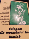 CULEGEM DIN MORMANTUL TAU LUMINA ANTOLOGIE LEGIONARA FLOR STREJNICU 1999 120PAG, Alta editura