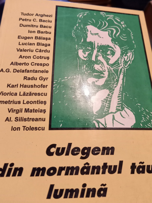 CULEGEM DIN MORMANTUL TAU LUMINA ANTOLOGIE LEGIONARA FLOR STREJNICU 1999 120PAG