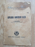 I. Simionescu - Copilaria oamenilor alesi - Editura Cartea Romaneasca, 1940