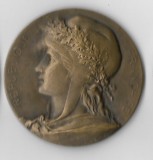 Medalie Ville de St. Maur des Fosses, 46,6 g, 46 mm, bronz