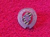 Insigna fotbal - Federaci&oacute;n de Pe&ntilde;as del Real Zaragoza (Spania)