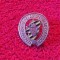 Insigna fotbal - Federaci&oacute;n de Pe&ntilde;as del Real Zaragoza (Spania)