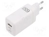 Alimentator Pulsatoriu QOLTEC 5-20VDC Plug-in