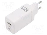 Alimentator Pulsatoriu QOLTEC 5-20VDC Plug-in