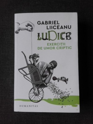 LUDICE, EXERCITII DE UMOR CRIPTIC - GABRIEL LIICEANU foto
