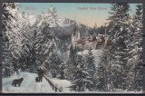 SINAIA CASTELUL PELES CASTELUL REGAL IARNA UPU CIRCULATA 1912