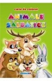 Animale salbatice - Carte de colorat A5