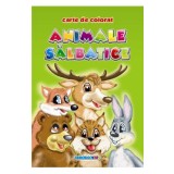 Animale salbatice - Carte de colorat A5
