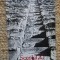 Secolul 20 nr. 6 / 1979 - Acțiune și poezie &icirc;n orizontul Helladei