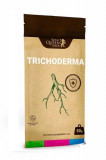 Ingrasamant natural Easy Roots Trichoderma, marca Royal Queen Seeds, cantitate 50 g